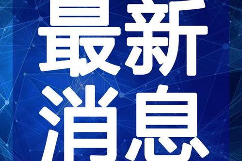 湖南黑店爆料视频最新,揭露惊人内幕，行业乱象触目惊心