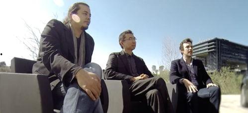 白树最新爆料视频大全,揭秘幕后真相与精彩瞬间